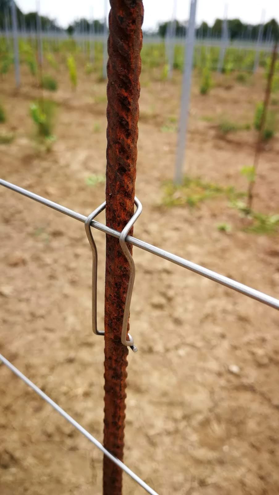 קליפס למוט ברזל ובמבוק 6/10
